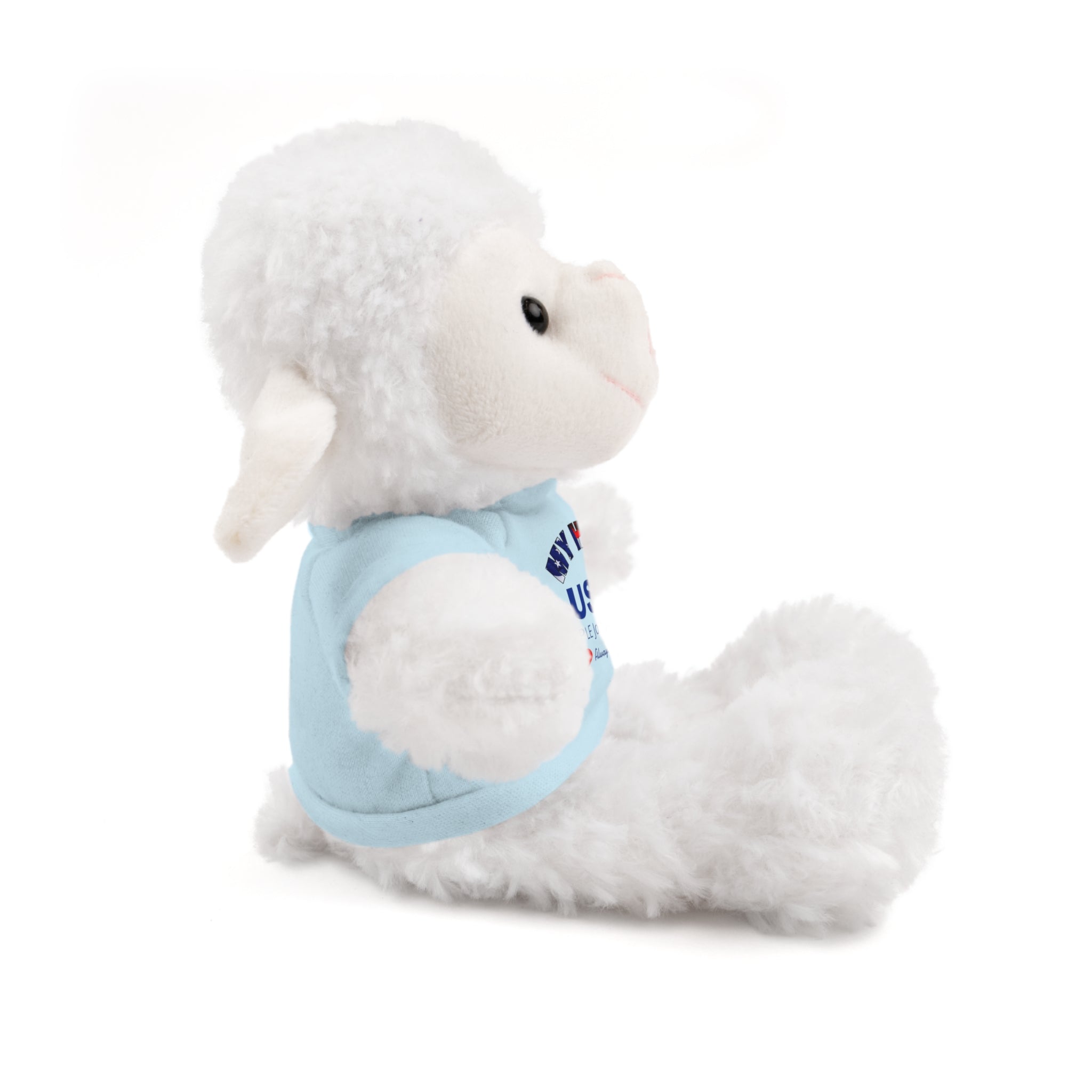Custom U.S. Air Force Stuffed Animal with Personalized T-Shirt – 6 Plush Options, 5 Shirt Colors