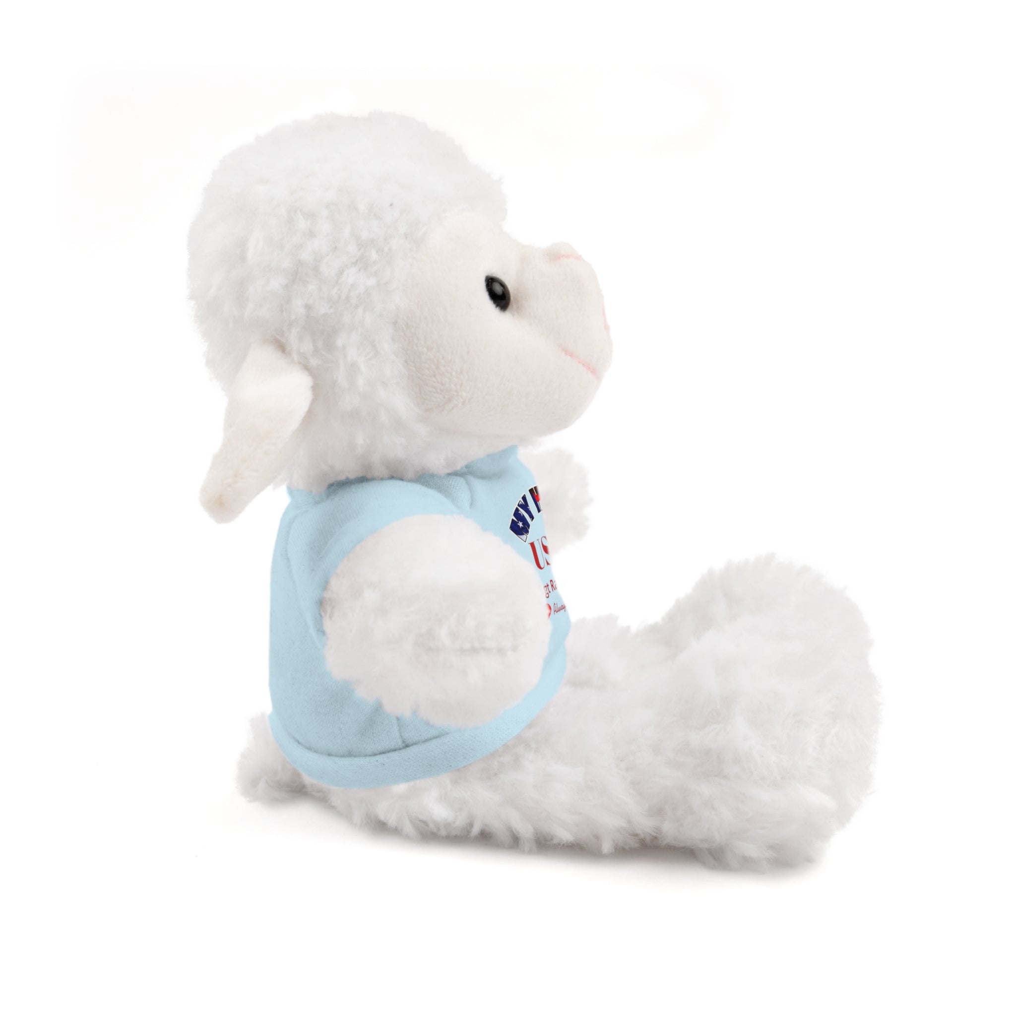 Custom USMC Stuffed Animal with Personalized T-Shirt – 6 Plush Animals, 5 Shirt Colors